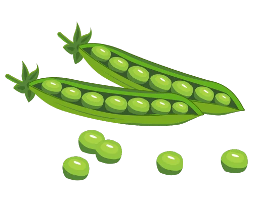 Green peas